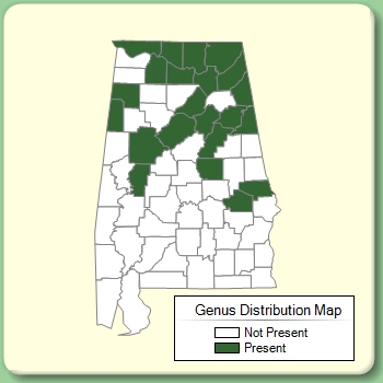 Genus Distribution Map