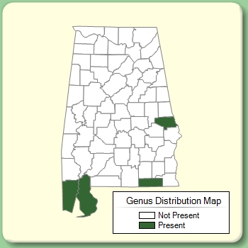 Genus Distribution Map