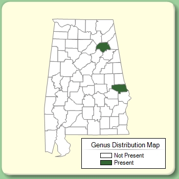 Genus Distribution Map