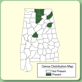 Genus Distribution Map