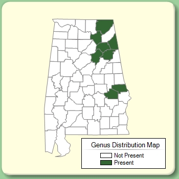 Genus Distribution Map