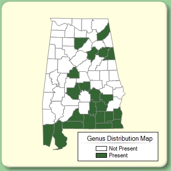 Genus Distribution Map