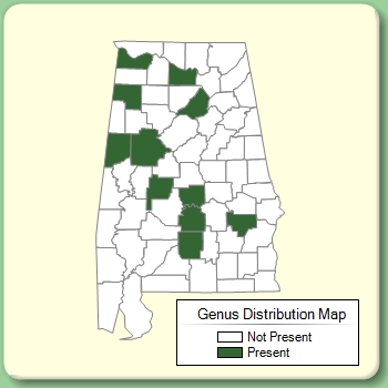 Genus Distribution Map