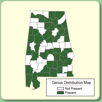 Genus Distribution Map