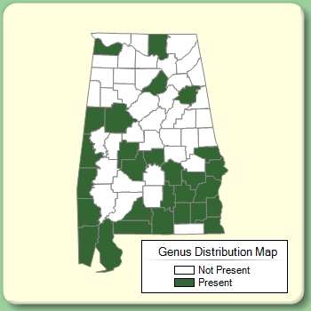 Genus Distribution Map