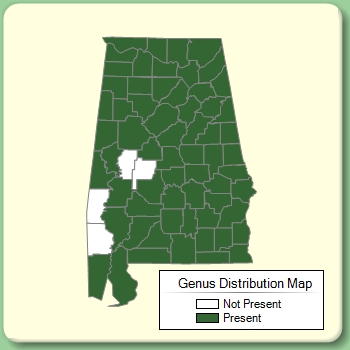 Genus Distribution Map