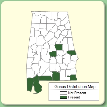 Genus Distribution Map