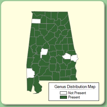 Genus Distribution Map