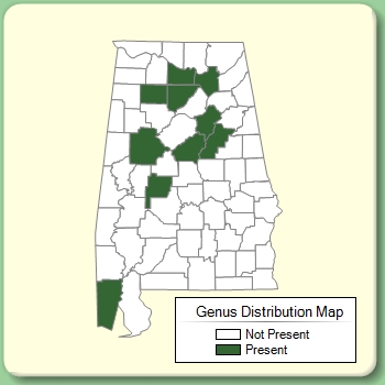 Genus Distribution Map