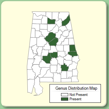 Genus Distribution Map