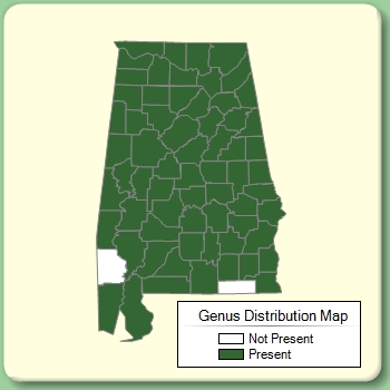 Genus Distribution Map