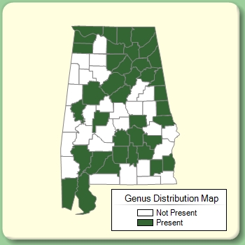 Genus Distribution Map