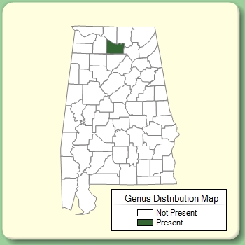 Genus Distribution Map