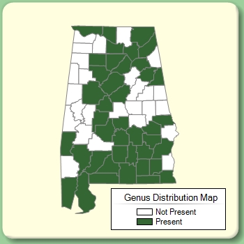 Genus Distribution Map