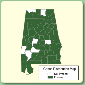 Genus Distribution Map