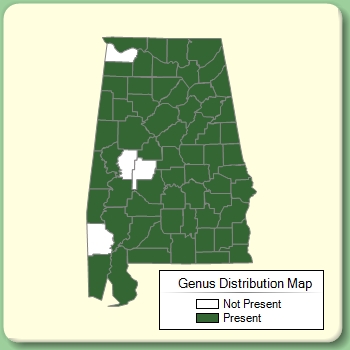 Genus Distribution Map