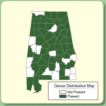 Genus Distribution Map