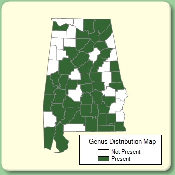 Genus Distribution Map