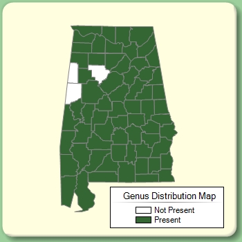 Genus Distribution Map