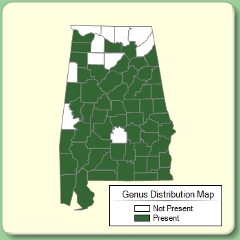 Genus Distribution Map