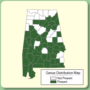 Genus Distribution Map