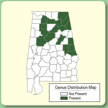 Genus Distribution Map