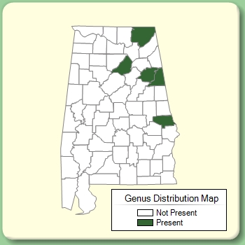 Genus Distribution Map