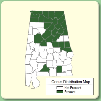 Genus Distribution Map