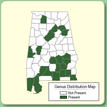 Genus Distribution Map