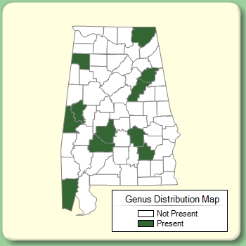 Genus Distribution Map