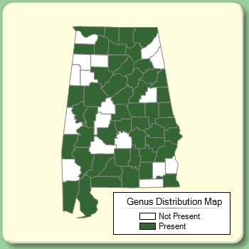 Genus Distribution Map