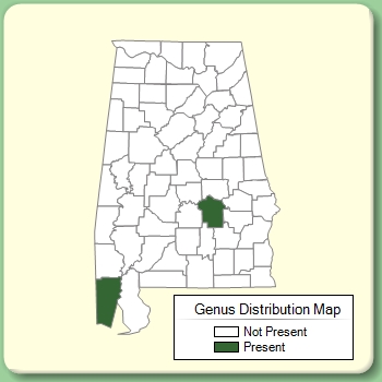 Genus Distribution Map