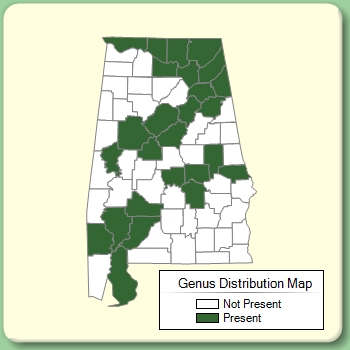 Genus Distribution Map