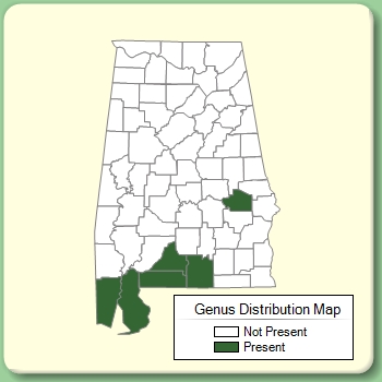 Genus Distribution Map