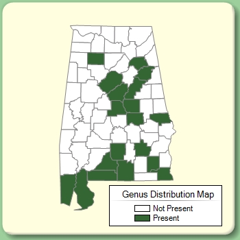 Genus Distribution Map