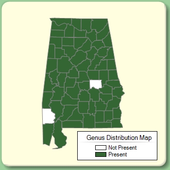 Genus Distribution Map