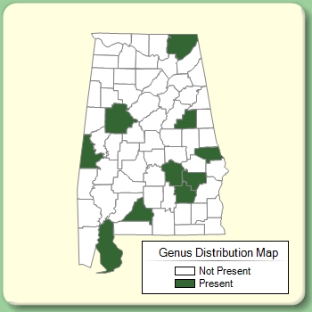 Genus Distribution Map