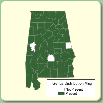 Genus Distribution Map