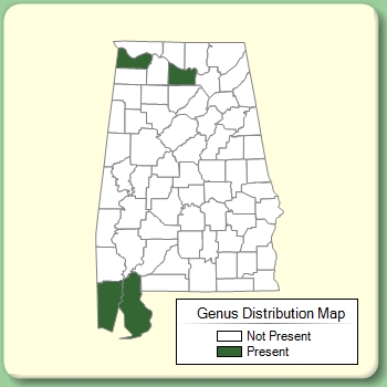 Genus Distribution Map