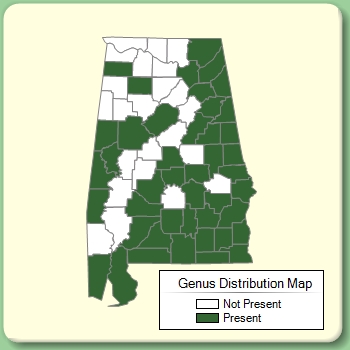 Genus Distribution Map