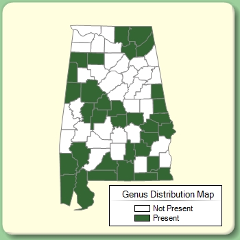 Genus Distribution Map