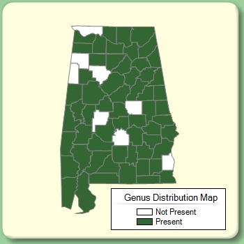 Genus Distribution Map