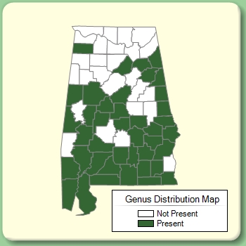 Genus Distribution Map