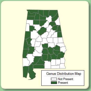 Genus Distribution Map