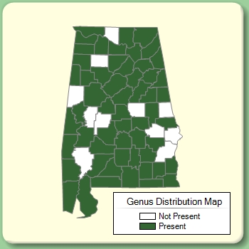 Genus Distribution Map