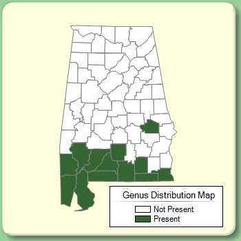 Genus Distribution Map