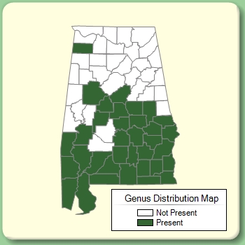 Genus Distribution Map