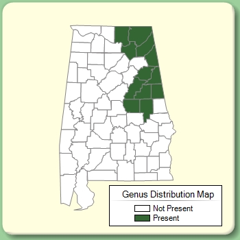 Genus Distribution Map