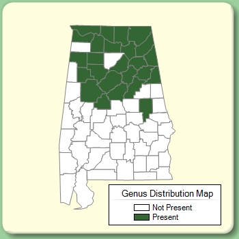 Genus Distribution Map