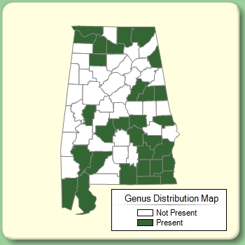 Genus Distribution Map